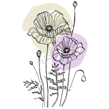 Modern sanat gelinciklerinin moda renkli posterleri. Soyut el çiçekleri, geometrik elementleri ve vuruşları, yaprakları ve çiçekleri çizer. 