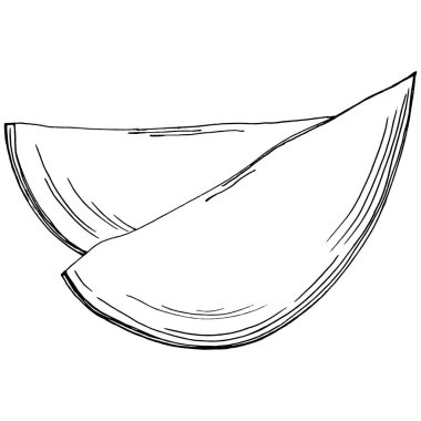 Mango tropikal meyve çizim vektörü. İşlenmiş organik gıda. Beyaz arkaplanda siyah beyaz mango ögesi.