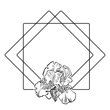El çizimi irisler çiçek logosu, çerçeve, sınır, tanıtım elementleri. Damga şablonu. Minimalist monogram. Rustik zarif marka veya logottip arkaplan.