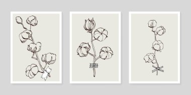 Pamuk çiçek duvarı sanat seti. Soyut şekilli doğa çiziminin yaprakları. Baskı, kapak, duvar kâğıdı ve dekorasyon için modern Soyut Bitki Sanatı tasarımı.