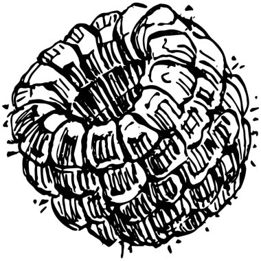 Ahududu izole vektör çizimi. Organik yağ oymalı taslak. Güzellik ve kaplıca, kozmetik malzeme. Etiket, poster, broşür, ambalaj için harika