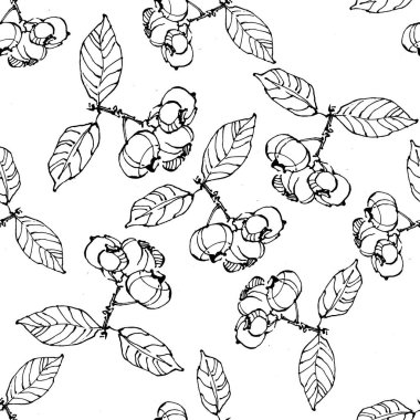 Vector soyut siyah fırça sıçraması. Yabanmersinli el çizimi klasik. Grunge fırça darbesi serbest mürekkep dekoru. Siyah beyaz işlemeli mürekkep sanatı. Kusursuz bir arka plan modeli. Kumaş duvar kağıdı baskı dokusu.