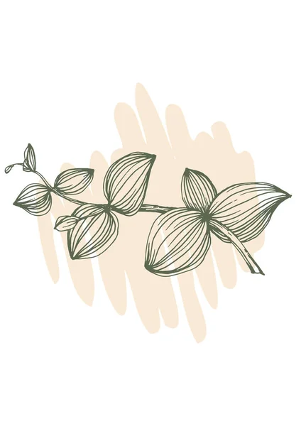 Flower Wall Art Eucalyptus Plant Foliage Nature Line Art Drawing — Stockový vektor