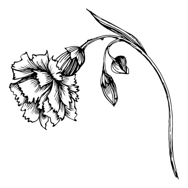 Desenho à mão de crachá de borda de vegetação botânica