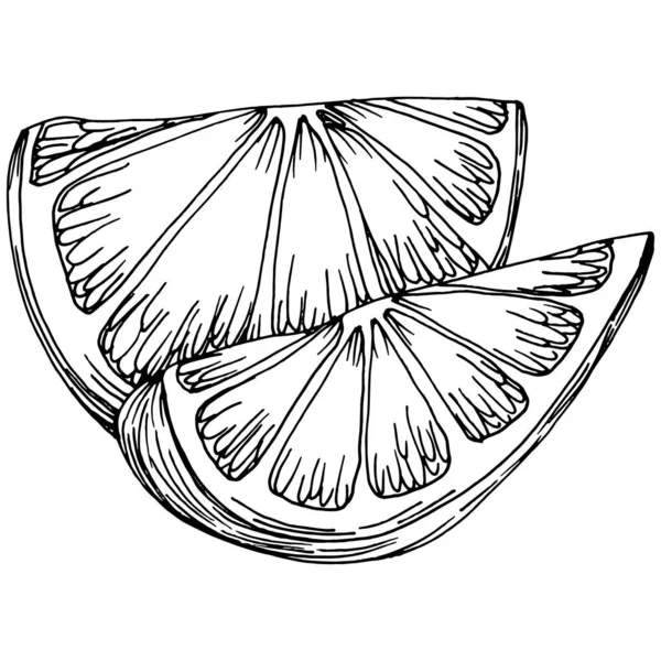 Vector Çizilmiş Kireç Limon Beyaz Arkaplan Resimlerinde Limon Yapraklı Egzotik — Stok Vektör