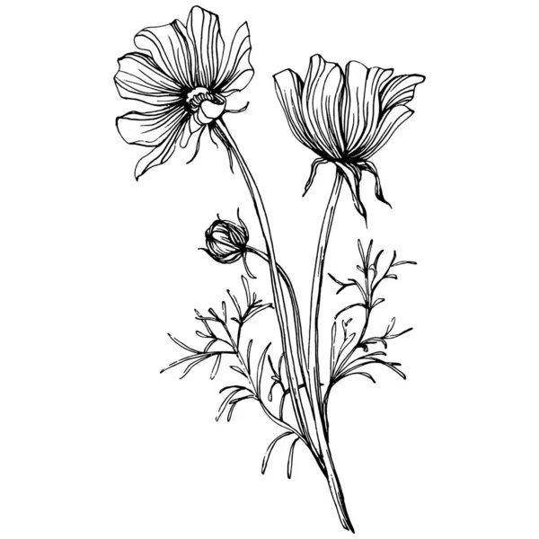 Космос Квітка Ручним Малюнком Космос Квітковий Логотип Або Татуювання Високо — стоковий вектор