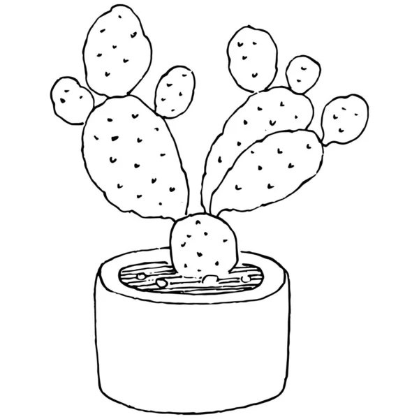 Accueil Plante Pots Croquis Schéma Dessin Illustration Isolée Croissance Fleurs — Image vectorielle