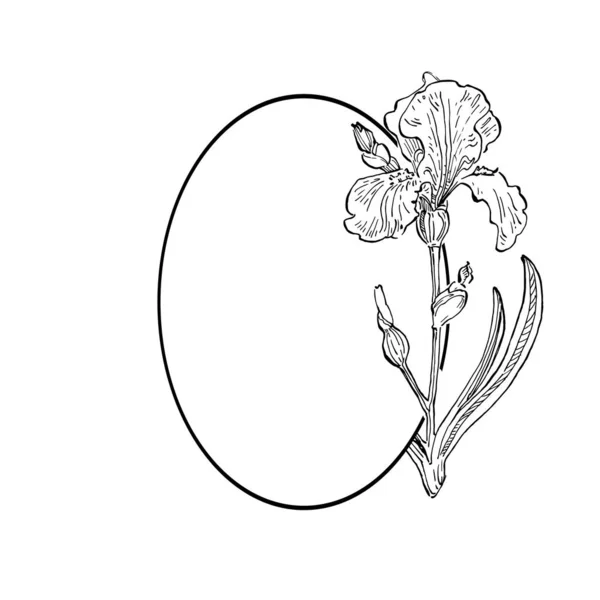 Logo Floral Iris Dessiné Main Cadre Bordure Élément Promo — Image vectorielle
