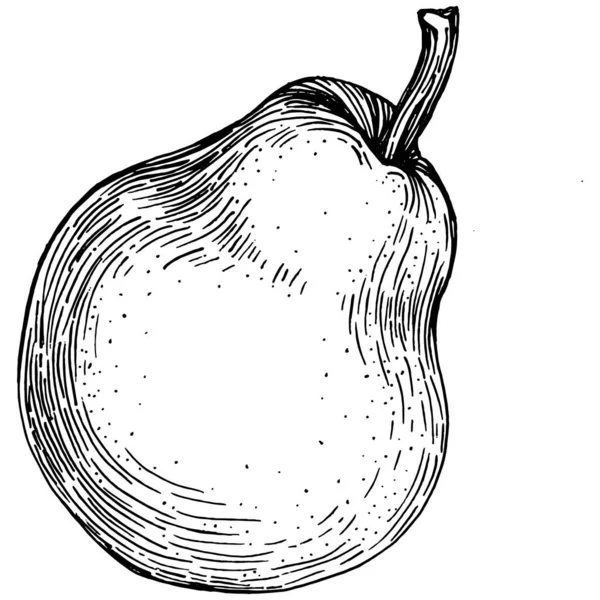 Hruška Izolovaný Náčrt Ručně Kresleným Ilustrací Prvek Ovoce Vektor Bílém — Stockový vektor