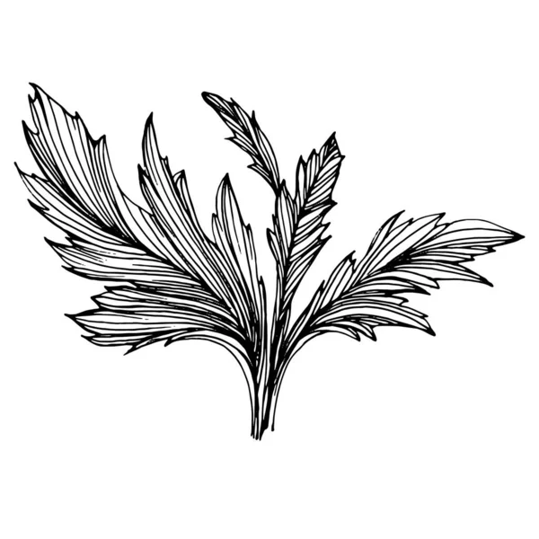 Chrysanthème Main Tatouage Floral Très Détaillé Dans Style Line Art — Image vectorielle