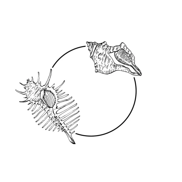 Ручний Намальований Логотип Морської Оболонки Рамка Кордон Промо Елемент Шаблон — стоковий вектор