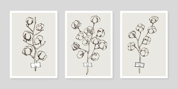 Set Plantas Arte Pared Flor Algodón Follaje Naturaleza Línea Dibujo — Vector de stock