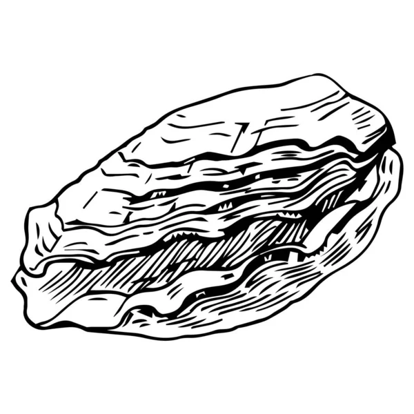 Hand Drawn Ocean Shells Isolated Black White Illustration — Stockvector