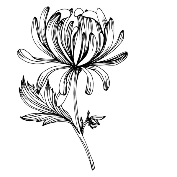 Хризантема Ручним Малюнком Квіткове Татуювання Дуже Детально Описано Стилі Лінійного — стоковий вектор