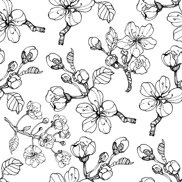 Modèle Sans Couture Botanique Bouquet Cerises Noires Blanches Dessiné Main — Image vectorielle