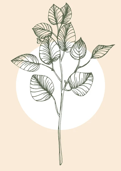 Flower Wall Art Eucalyptus Plant Foliage Nature Line Art Drawing — Stockvector