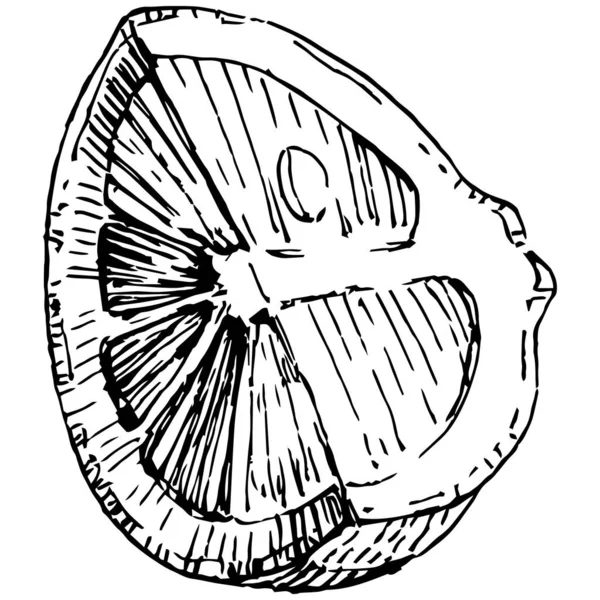 Limón Aislado Sobre Fondo Blanco Esbozo Estilo Grabado Aceite Esencial — Archivo Imágenes Vectoriales