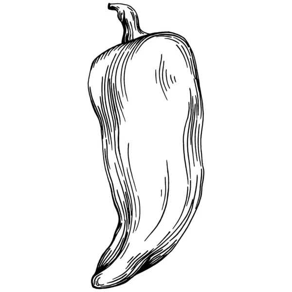 エコペッパーアイコンアウトライン 手描きベクトル 赤い漫画 ストックベクター C Lrsga Hotmail Com