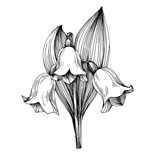Vadideki Zambak Elle Çizilmiş Mayıs Lily Çiçek Logosu Dövmesi Sanat — Stok Vektör