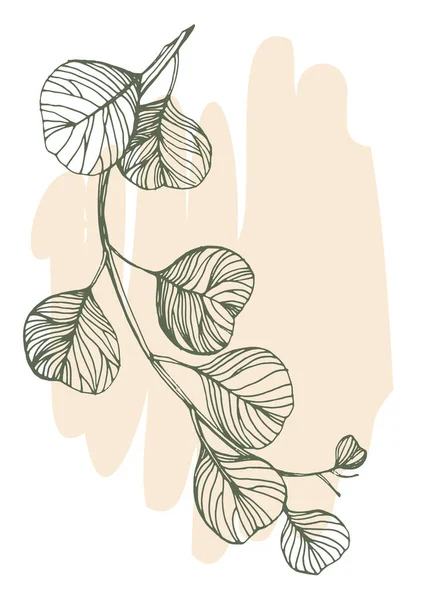 Flower Wall Art Eucalyptus Plant Foliage Nature Line Art Drawing — Stock vektor