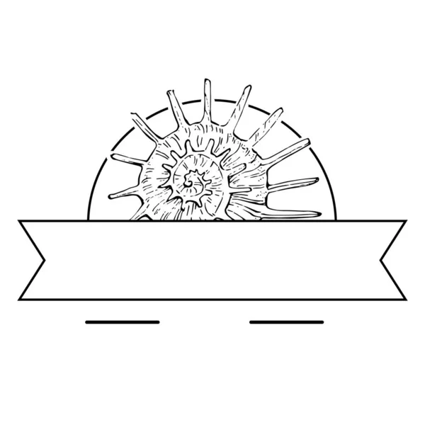 Ręcznie Rysowane Logo Muszli Morskiej Ramka Obramowanie Element Promo Szablon — Wektor stockowy