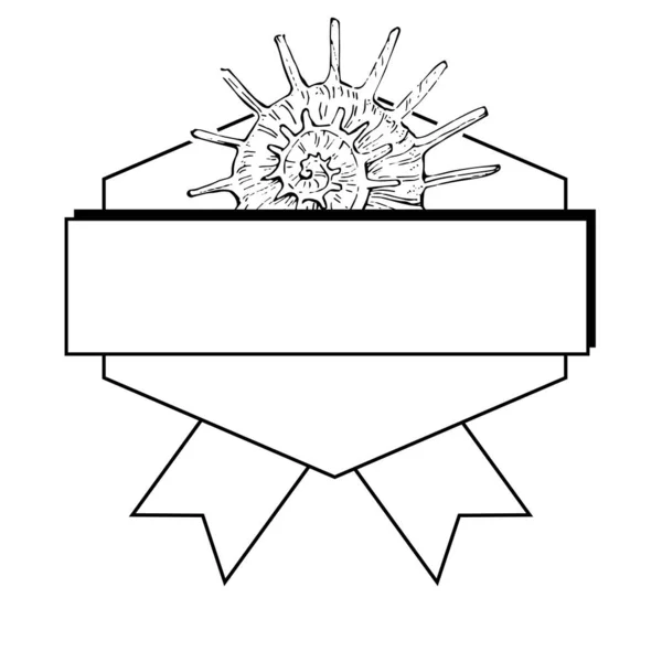 Ręcznie Rysowane Logo Muszli Morskiej Ramka Obramowanie Element Promo Szablon — Wektor stockowy