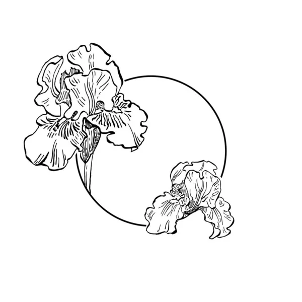 Dessiné Main Iris Logo Floral Cadre Bordure Élément Promo Modèle — Image vectorielle