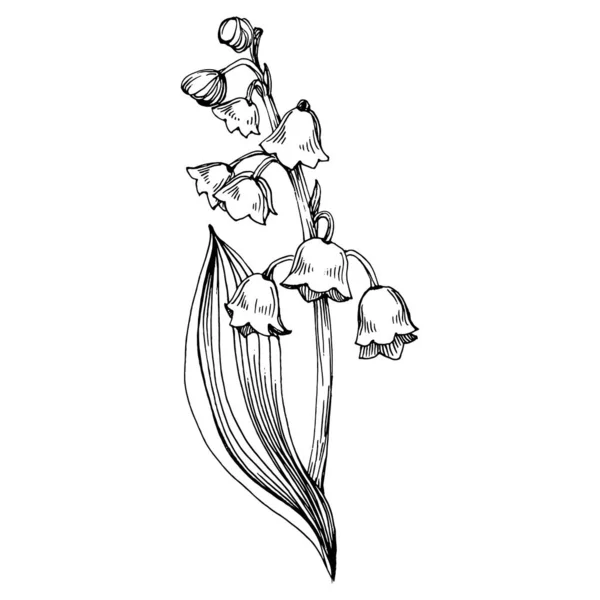 Lilie Tattooストックベクター ロイヤリティフリーlilie Tattooイラスト ページ 11 Depositphotos Lilie Tattooストックベクター ロイヤリティフリーlilie Tattooイラスト ページ 11 Depositphotos