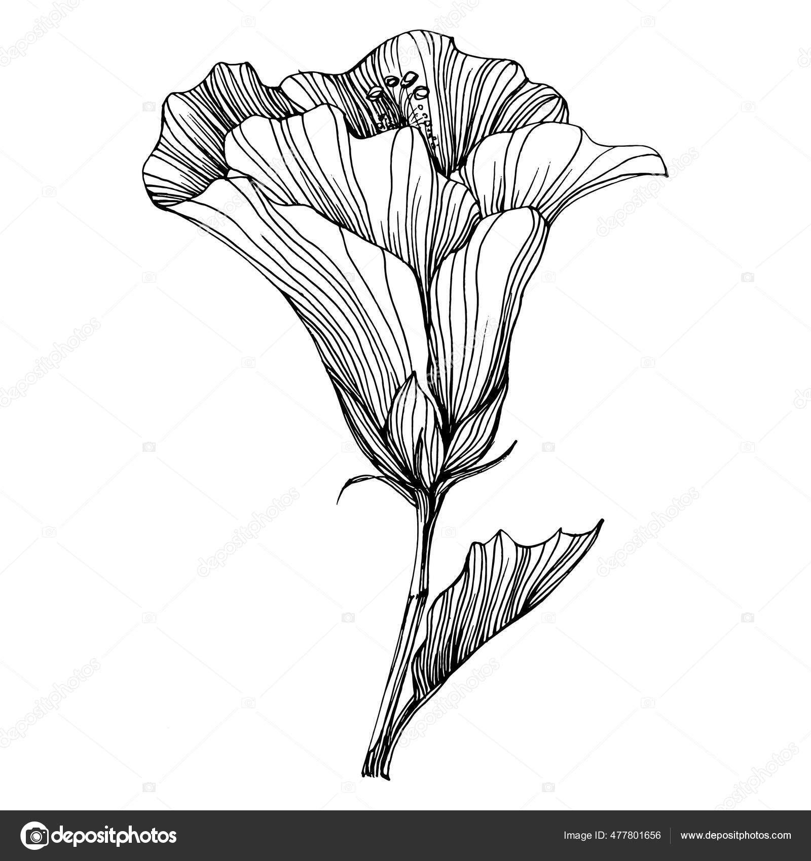 Delicate Flower Tattoo Ideas for Women, image size:1600x1700