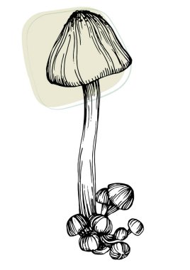 Moda renklerinde çağdaş sanat mantarları posterleri. Soyut el çiçekleri, geometrik elementleri ve vuruşları, yaprakları ve çiçekleri çizer. 