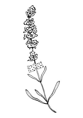 Moda renklerinde çağdaş sanat lavantası çiçek posterleri. Soyut el çiçekleri, geometrik elementleri ve vuruşları, yaprakları ve çiçekleri çizer. 