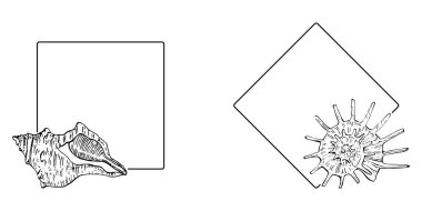 El yapımı kabuk logosu, çerçeve, sınır, promosyon elemanı. Damga şablonu. Minimalist monogram. Rustik zarif marka veya logottip arkaplan.