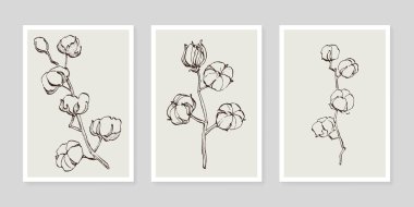 Pamuk çiçek duvarı sanat seti. Soyut şekilli doğa çiziminin yaprakları. Baskı, kapak, duvar kâğıdı ve dekorasyon için modern Soyut Bitki Sanatı tasarımı.