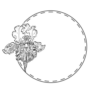 El çizimi iris çiçeği logosu, çerçeve, sınır, promosyon elementi.