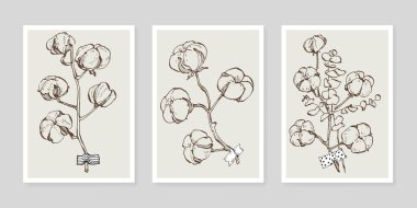 Pamuk çiçek duvarı sanat seti. Soyut şekilli doğa çiziminin yaprakları. Baskı, kapak, duvar kâğıdı ve dekorasyon için modern Soyut Bitki Sanatı tasarımı.