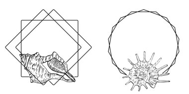 El yapımı kabuk logosu, çerçeve, sınır, promosyon elemanı. Damga şablonu. Minimalist monogram. Rustik zarif marka veya logottip arkaplan.