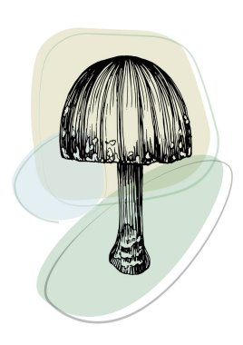 Moda renklerinde çağdaş sanat mantarları posterleri. Soyut el çiçekleri, geometrik elementleri ve vuruşları, yaprakları ve çiçekleri çizer. 