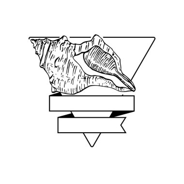 El yapımı deniz kabuğu logosu, çerçeve, sınır, promosyon elemanı. Damga şablonu. Minimalist monogram. Rustik zarif marka veya logottip arkaplan. 
