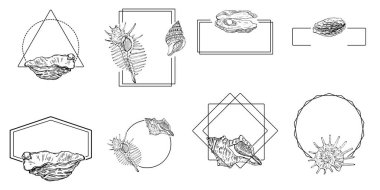 El yapımı kabuk logosu, çerçeve, sınır, promosyon elemanı. Damga şablonu. Minimalist monogram. Rustik zarif marka veya logottip arkaplan.