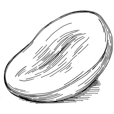 Mango tropikal meyve çizim vektörü. İşlenmiş organik gıda. Beyaz arkaplanda siyah beyaz mango ögesi.