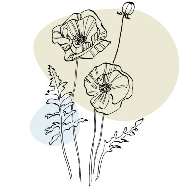 Modern sanat gelinciklerinin moda renkli posterleri. Soyut el çiçekleri, geometrik elementleri ve dokunuşları, yaprakları ve çiçekleri çiziyor. Sosyal medya için modern tasarım, davetiye, kartpostallar, duvar sanatı için baskı.