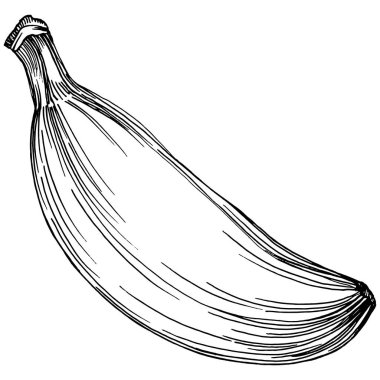 El yapımı izole edilmiş muz. Vektör illüstrasyonu egzotik meyve. 