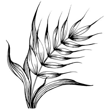 Buğday kulaklı el çizimleri. Korunma ve güvenliğin eski bir sembolü. Kütük için antik vintage oyma çizimi