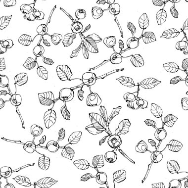 Vector soyut siyah fırça sıçraması. Yabanmersinli el çizimi klasik. Grunge fırça darbesi serbest mürekkep dekoru. Siyah beyaz işlemeli mürekkep sanatı. Kusursuz bir arka plan modeli. Kumaş duvar kağıdı baskı dokusu.