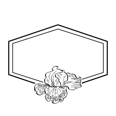 Hand drawn irises floral logo, frame, border, promo element. Brand emblem template. Minimalistic monogram. Rustic elegant trademark or logotypes background. clipart