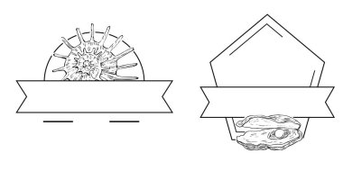 El yapımı kabuk logosu, çerçeve, sınır, promosyon elemanı. Damga şablonu. Minimalist monogram. Rustik zarif marka veya logottip arkaplan.