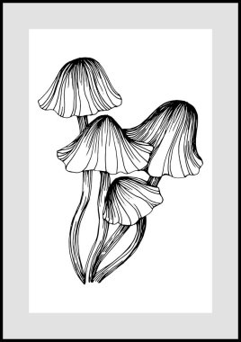 Abstract exotic mushrooms, natural poster on white background