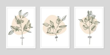 Moda renklerinde çağdaş sanat çiçekli posterler. Soyut el çiçekleri, geometrik elementleri ve vuruşları, yaprakları ve çiçekleri çizer. 