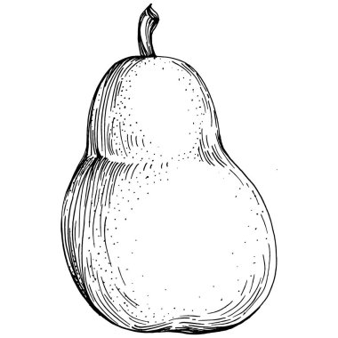 El çizimiyle çizilmiş armut eşkali. Beyaz arkaplanda meyve vektörü.