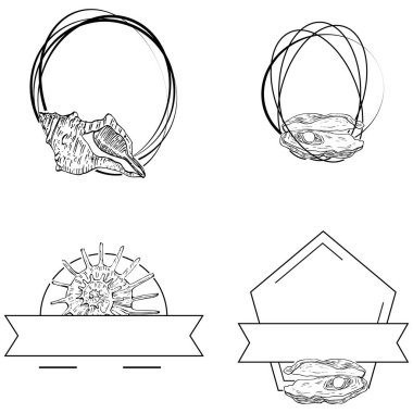 El yapımı kabuk logosu, çerçeve, sınır, promosyon elemanı. Damga şablonu. Minimalist monogram. Rustik zarif marka veya logottip arkaplan.
